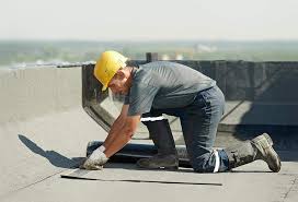 Best Roof Maintenance and Cleaning  in Robbinsdale, MN